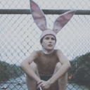 ashesstilinsky avatar