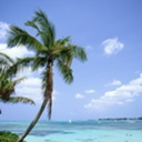 ashley-hammerfell avatar