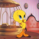 ashley-maertens avatar