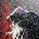 ashley-regret-blog avatar