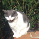 ashleybreather avatar