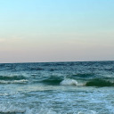 ashleyhonsaker avatar