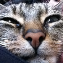 ashleyporterxo avatar