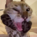 ashleyvixxster18 avatar