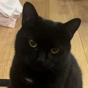 ashlgcostumes avatar