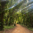 ashton-carney avatar