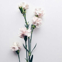 ashtonxirwinn avatar