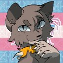 ashyfurz avatar