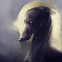 ashzoi avatar