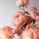 asideofmashedpotatoes avatar