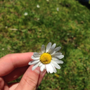 asikolmakicinfazlaneseli avatar