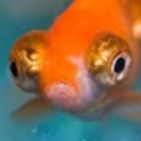 asilly-person avatar