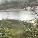 asillyfellacalledelliott avatar