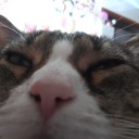 asillygoofyguy avatar