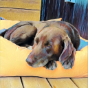 asillysillyname avatar