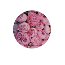 asilverscreencliche avatar