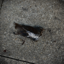 asimeniosdrakos avatar