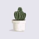 asimplehouseplant avatar