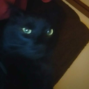 asinglefrickdoesthetrick avatar