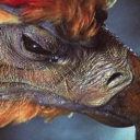 asinglephoenixtear avatar