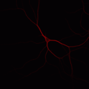 asinglescientist avatar