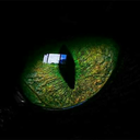 ask-another-anti avatar