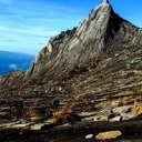 ask-dark-pinkie avatar