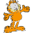 ask-garfield avatar