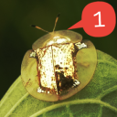 ask-the-dunmeshi-biologists avatar