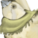 ask-theteachingquail-blog avatar