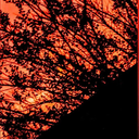 ask-tothearkseth avatar