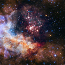 askanybodyelse avatar