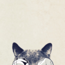 askcrossedthehybrid avatar