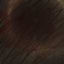 askdelusionalwriter avatar