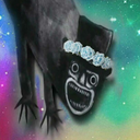 askgaybabadook avatar