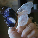 askimaciklayabilirim avatar