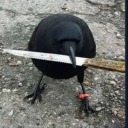 asking4thehorizon avatar