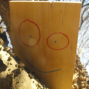 askplank avatar
