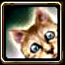 askserpounce avatar