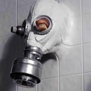 askthebelligerentcoil avatar
