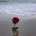 aslanyurek3434me avatar