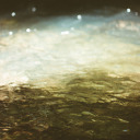 asnakeintheboot avatar