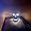 asocialasshole avatar