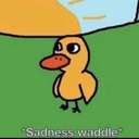 asociallyawkwardcat avatar