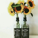 asocietyofghosts avatar