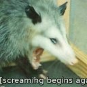 asoftiewithtea avatar