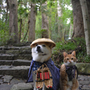 asomethingblog avatar