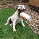 aspartameinmyveins avatar