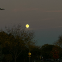 aspectsoflife avatar