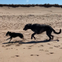 aspenandkokua avatar